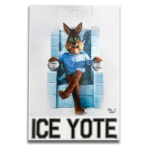 San Antonio Spurs Coyote Poster